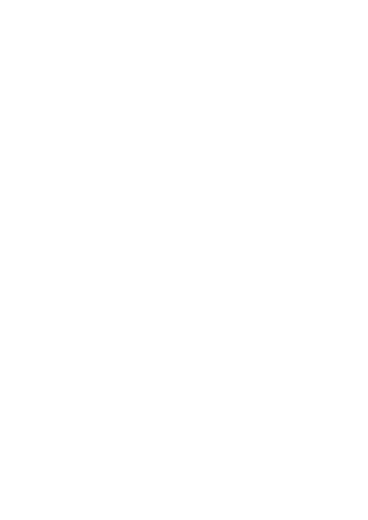 Vasista Esports logo